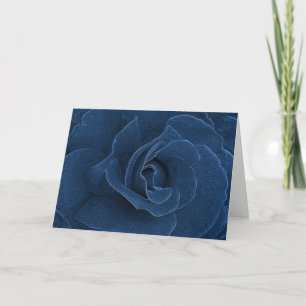 Velvet blue rose card