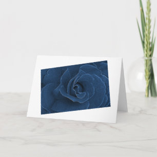 Velvet blue rose card