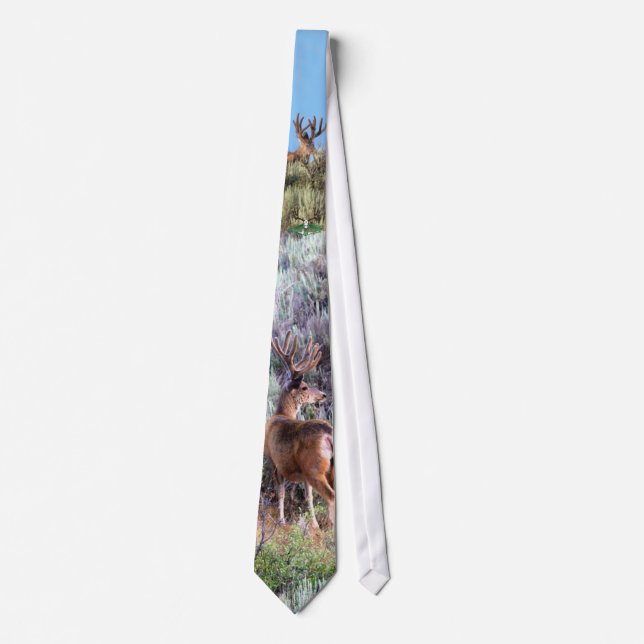 Velvet Buck Tie (Front)