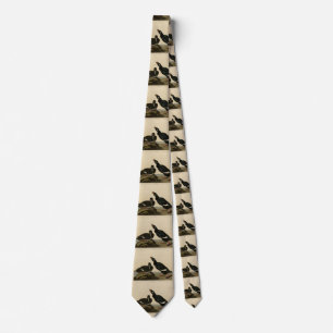 Velvet Duck - from Audubon's Birds of America Tie