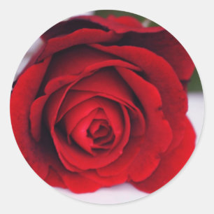 Velvet Fire Classic Round Sticker