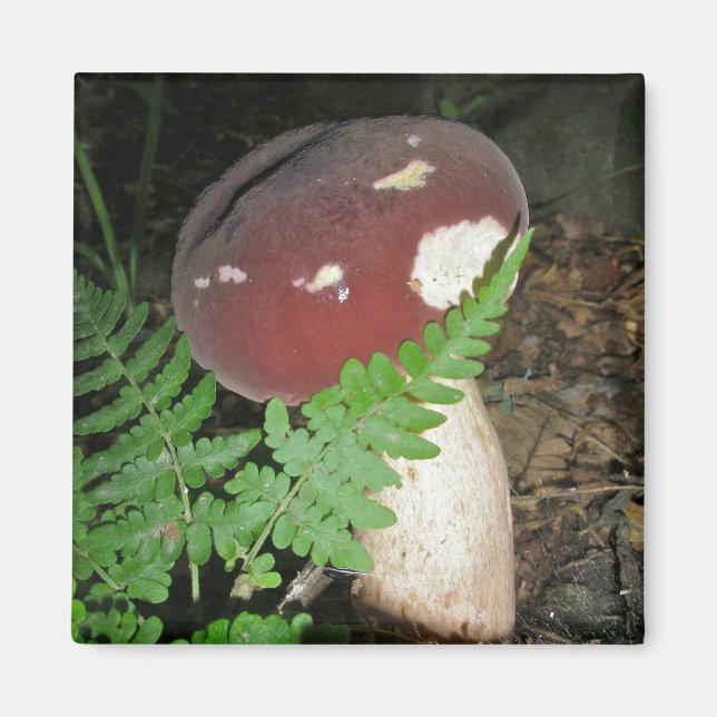 Velvet Mushroom Magnet (Front)