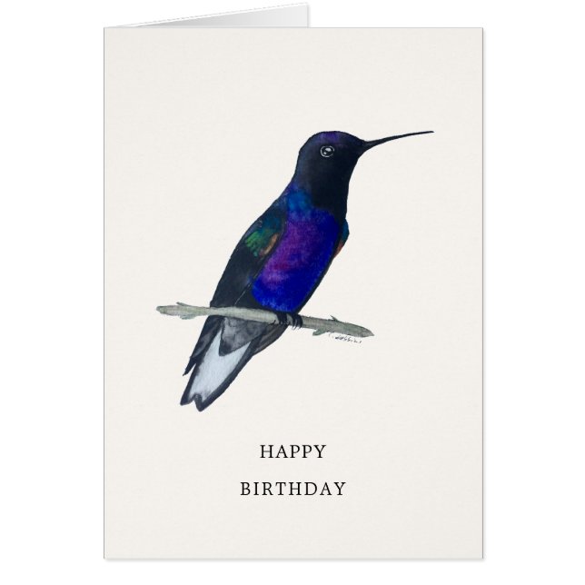 Velvet-Purple Coronet Hummingbird Birthday Card (Front)