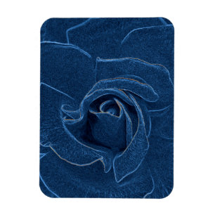 velvety blue rose magnet