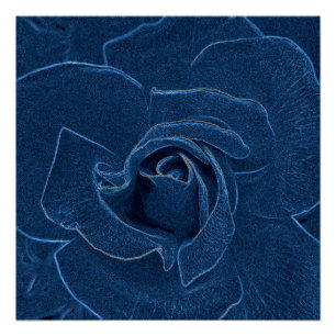 velvety blue rose poster