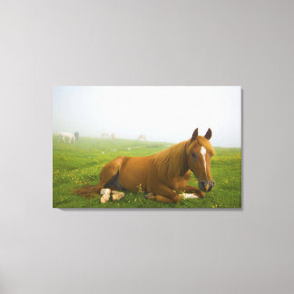 veneto italy 2 canvas print