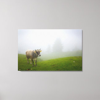 veneto italy canvas print