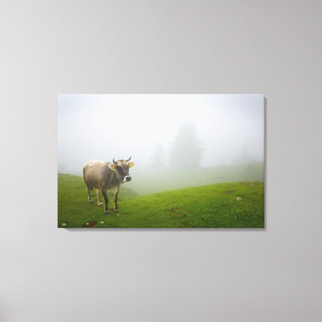veneto italy canvas print (Front)