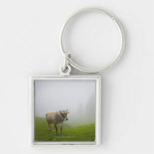 veneto italy key ring