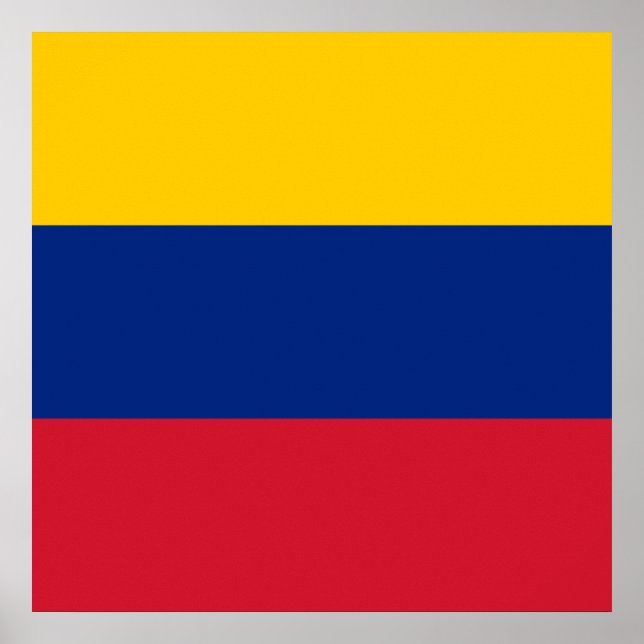 Venezuela Poster (Front)
