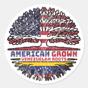 Venezuela Venezuelan US American USA United States Classic Round Sticker