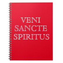 Veni Sancte Spiritus  Prayer Journal