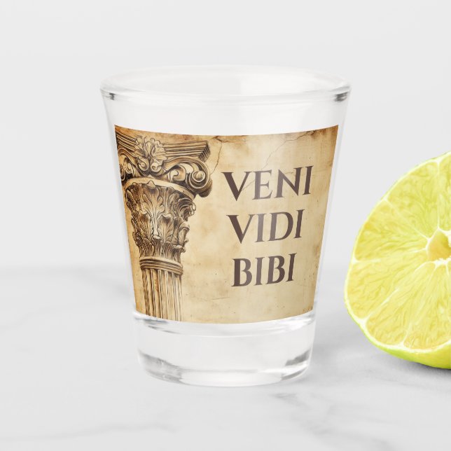 Veni Vidi Bibi Funny Ancient Rome Latin Saying Shot Glass (Front)