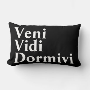 Veni Vidi Dormivi I came I saw I slept Lumbar Cushion