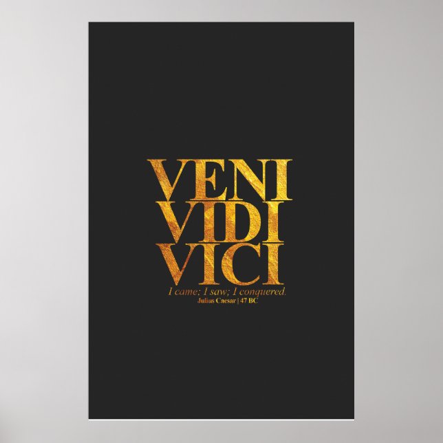 Veni Vidi Vici Julius Caesar Latin Quote. Poster (Front)