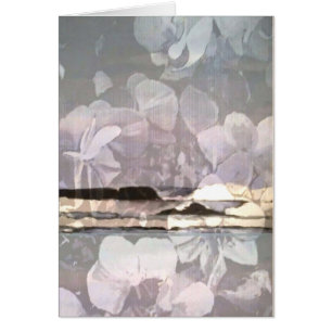 VenicBeach Orchid Surf Giftcard