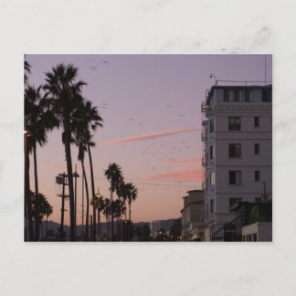Venice Beach Postcard