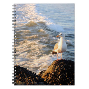 Venice Beach Seagull Spiral Notebook