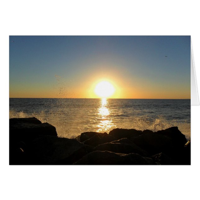 Venice Beach Sunset (Front Horizontal)