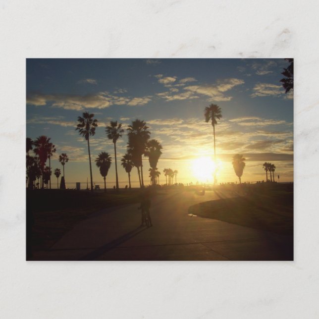 Venice Beach Sunset, CA Postcard (Front)