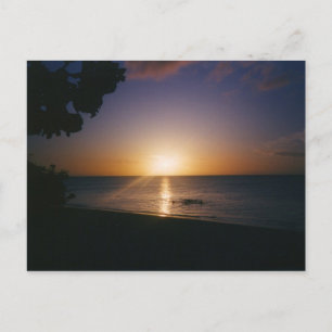 Venice Beach Sunset Postcard