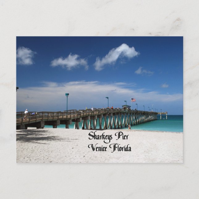 Venice Florida Postcard (Front)