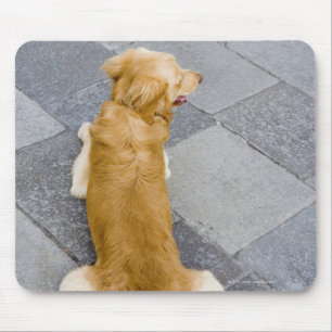 Venice, Italy. Mouse Pad