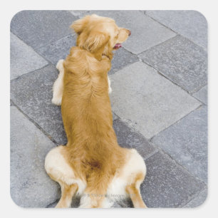 Venice, Italy. Square Sticker