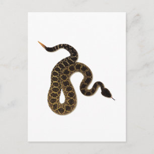 Venomous Bites Postcard