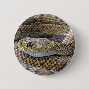 Venomous Rattle Snake Close Up 6 Cm Round Badge