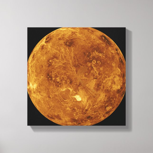 Venus 2 canvas print (Front)