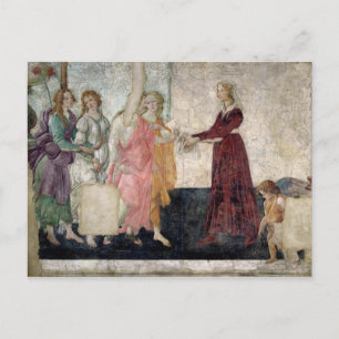 Venus and the Graces Postcard