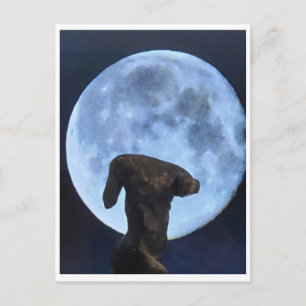 Venus and the Moon Postcard