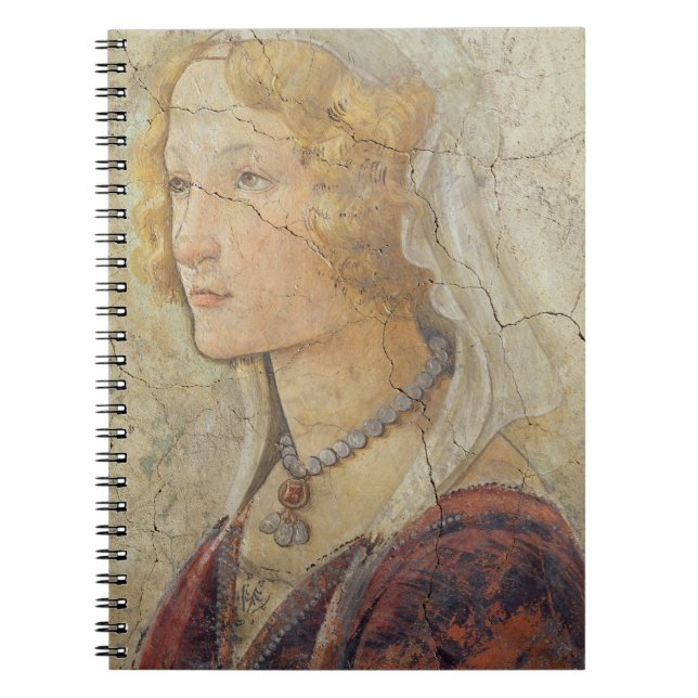 Venus and the Three Graces Offering Gifts to a Gir Spiral Notebook (Front)