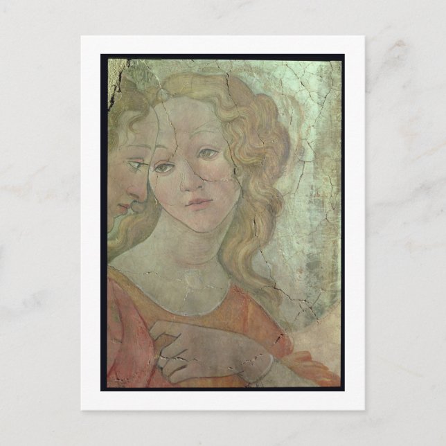 Venus and the Three Graces Offering Gifts to a You Postcard (Front)