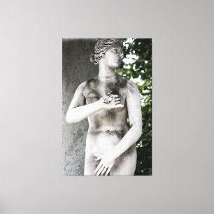 Venus Canvas Print