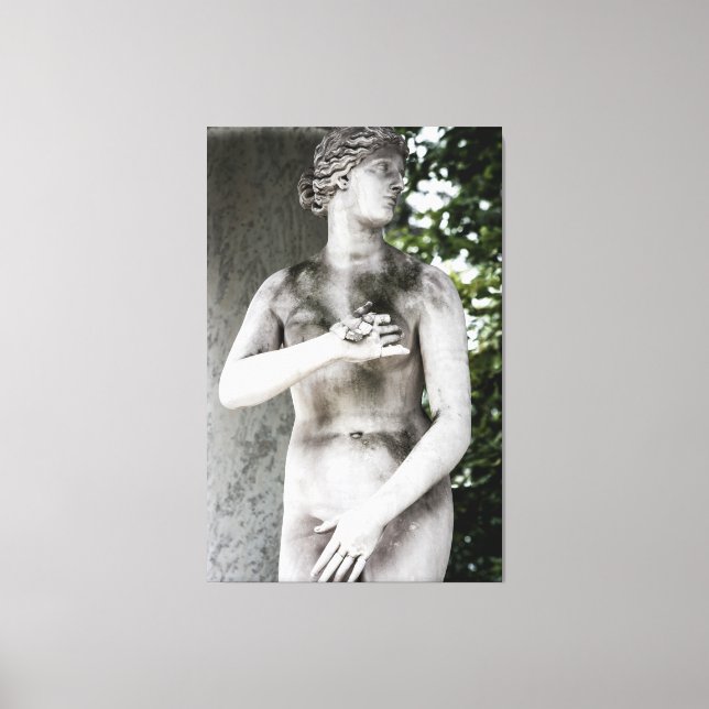 Venus Canvas Print (Front)