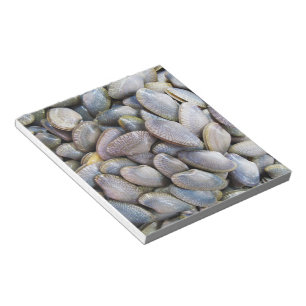 Venus Clam [หอยลาย] Notepad