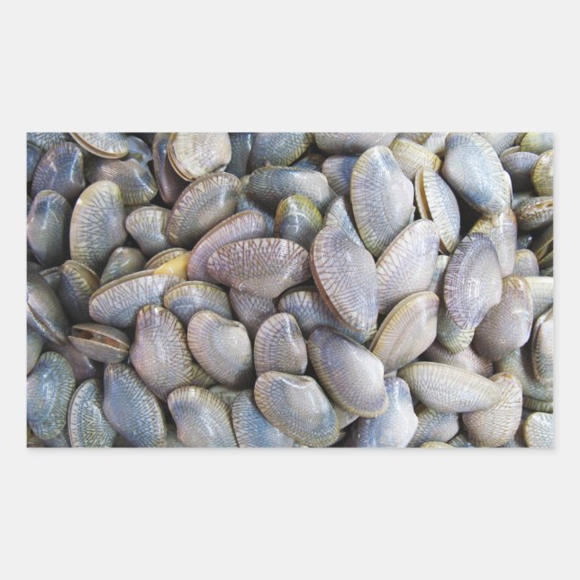 Venus Clam [หอยลาย] Rectangular Sticker (Front)