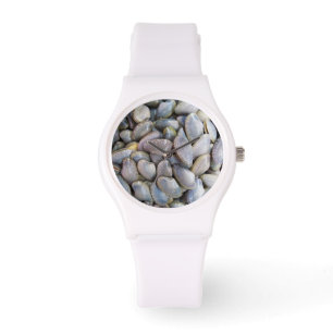 Venus Clam [หอยลาย] Watch