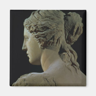 Venus de Milo, detail of the back of the head, Hel Magnet