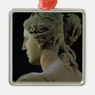 Venus de Milo, detail of the back of the head, Hel Metal Tree Decoration