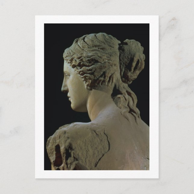 Venus de Milo, detail of the back of the head, Hel Postcard (Front)