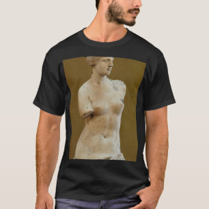 venus de milo louvre ma399 n4 T-Shirt