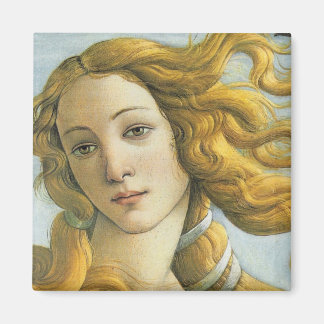 Venus (Detail) Magnet