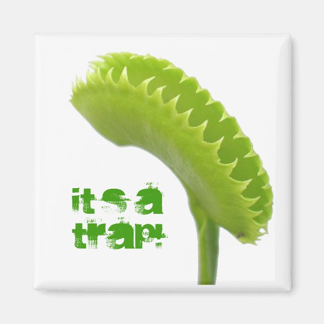 Venus Fly Trap Magnet (Front)