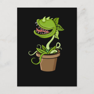 Venus Fly Trap Plant Gift Men Carnivorous Plants Postcard