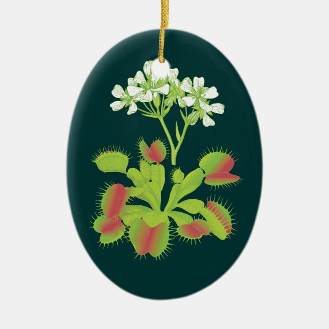 Venus Flytrap Botanical Art Ornament (Front)