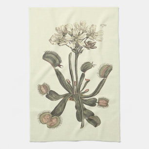 Venus Flytrap Botanical Illustration Tea Towel