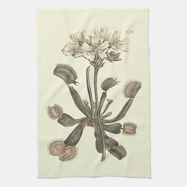 Venus Flytrap Botanical Illustration Tea Towel (Vertical)